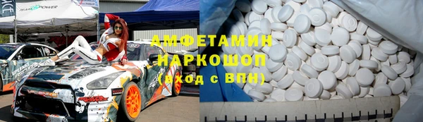 стаф Ельня