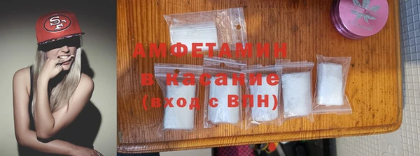 стаф Ельня