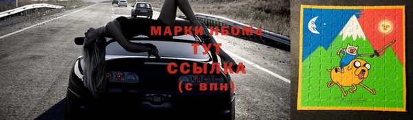 стаф Ельня
