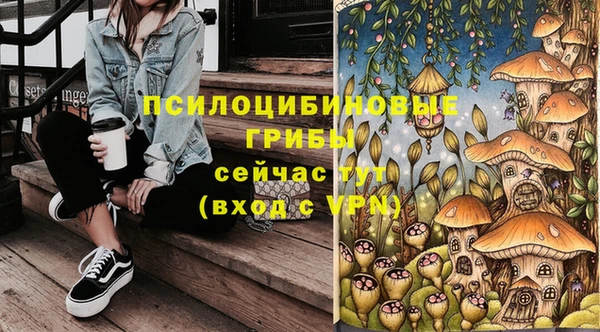 гашик Елизово