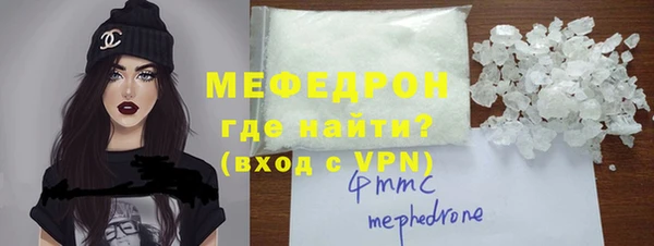 стаф Ельня