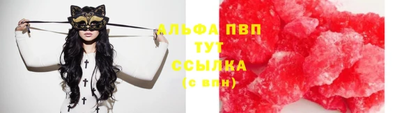 гашик Елизово