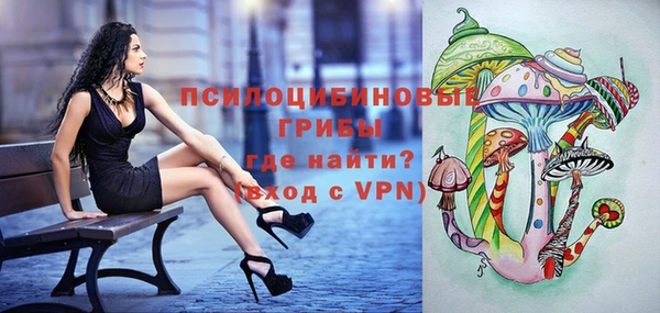 тгк Дмитровск