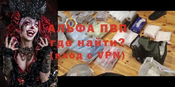 стаф Ельня