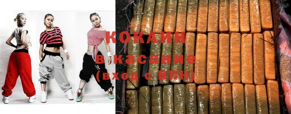 гашик Елизово
