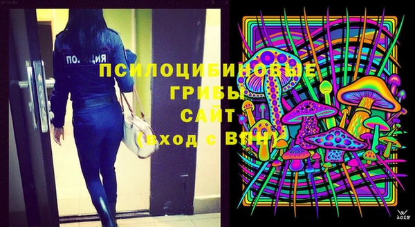стаф Ельня