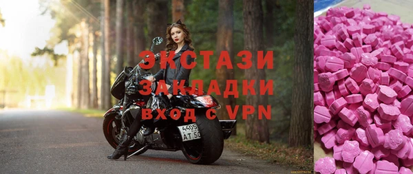 стаф Ельня