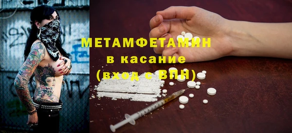 стаф Ельня