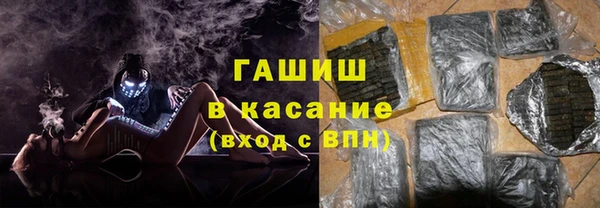 стаф Ельня