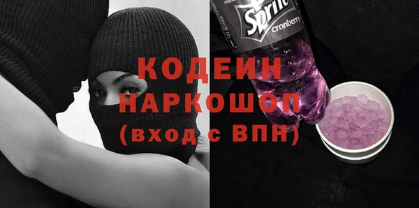 гашик Елизово