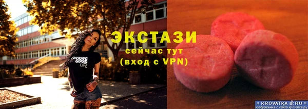 стаф Ельня
