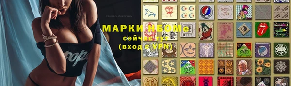 стаф Ельня