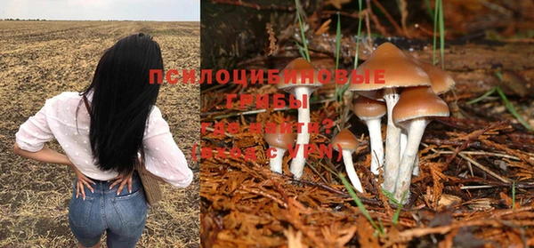 синтетический гашиш Дмитров