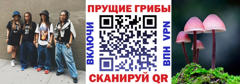 Псилоцибиновые грибы MAGIC MUSHROOMS  наркотики  Зеленоградск 